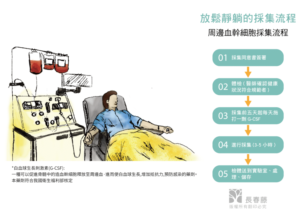 周邊血採集流程