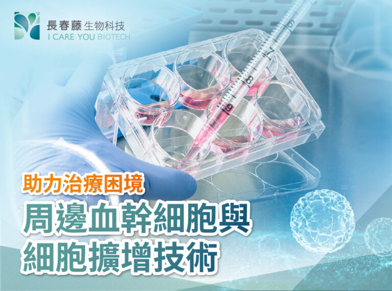 周邊血幹細胞與細胞擴增技術，助力治療困境