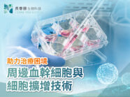 周邊血幹細胞與細胞擴增技術,助力治療困境